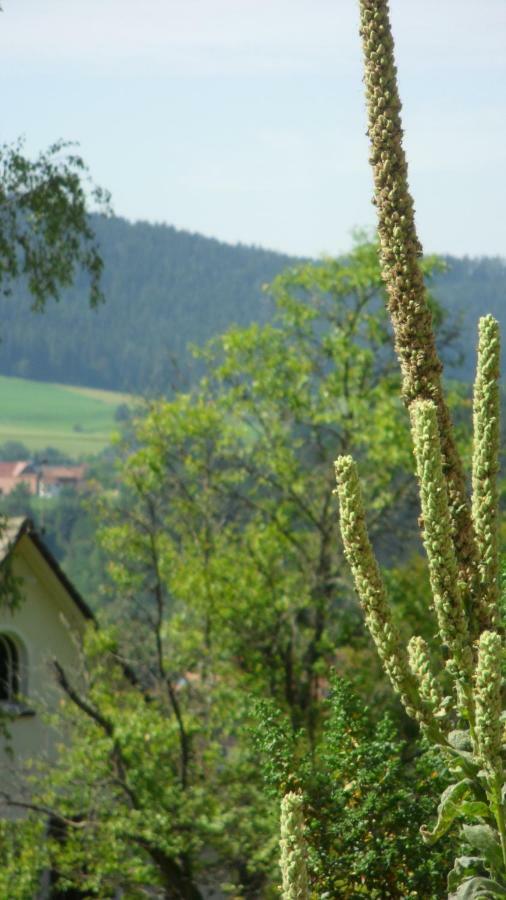 Ferienwohnung Kaufmann Baiersbronn Ngoại thất bức ảnh